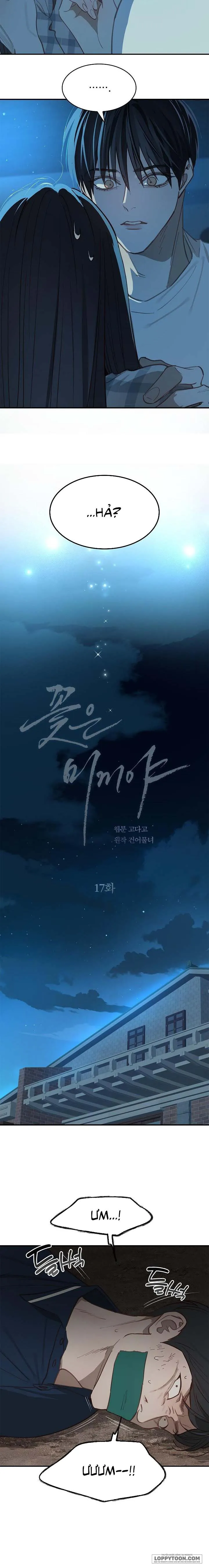 Đóa Hoa Là Mồi Nhử Chap 17 - trang 2