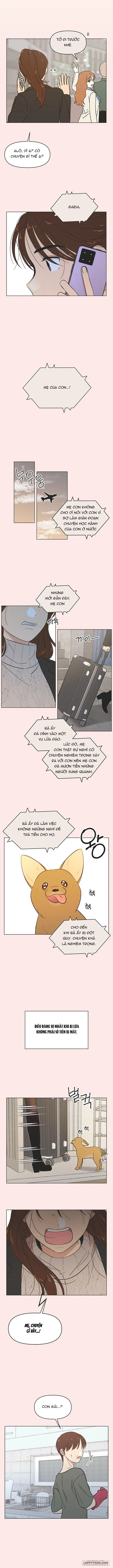 Thanh Xuân Ngọt Ngào Chap 49 - trang 6