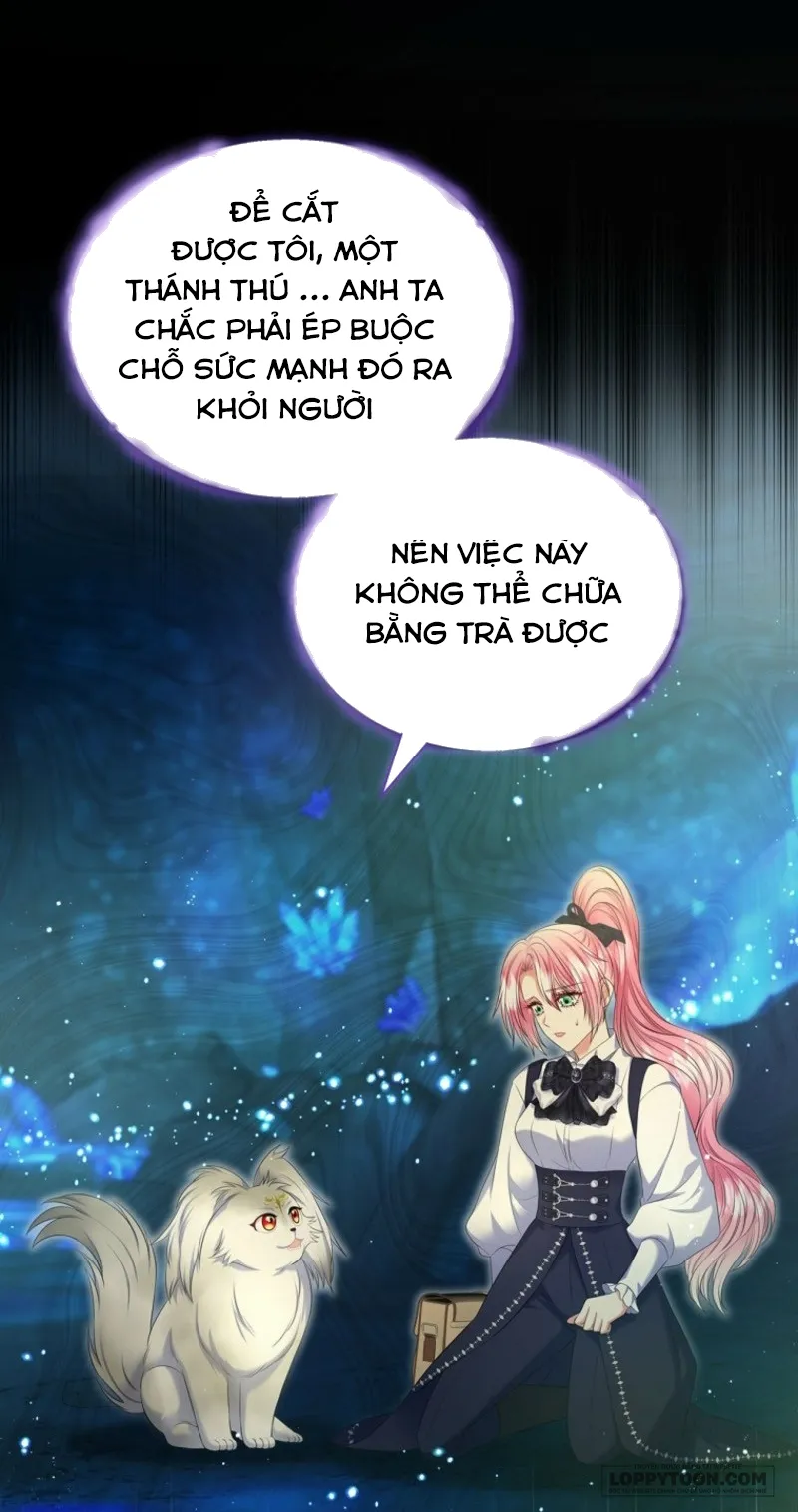 Tôi Sẽ Ly Hôn Với Anh Trai Nữ Chính Chap 76 - trang 11