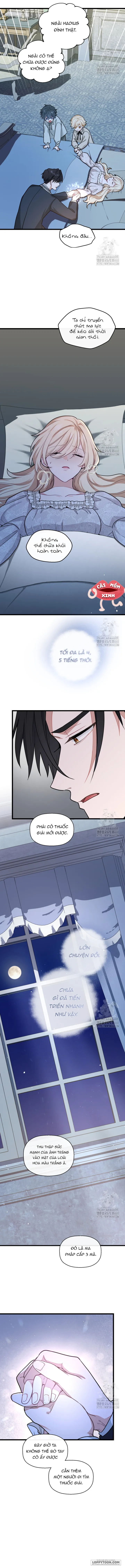 Bệ Hạ, Xin Hãy Quên Tôi Đi Chap 15 - trang 8