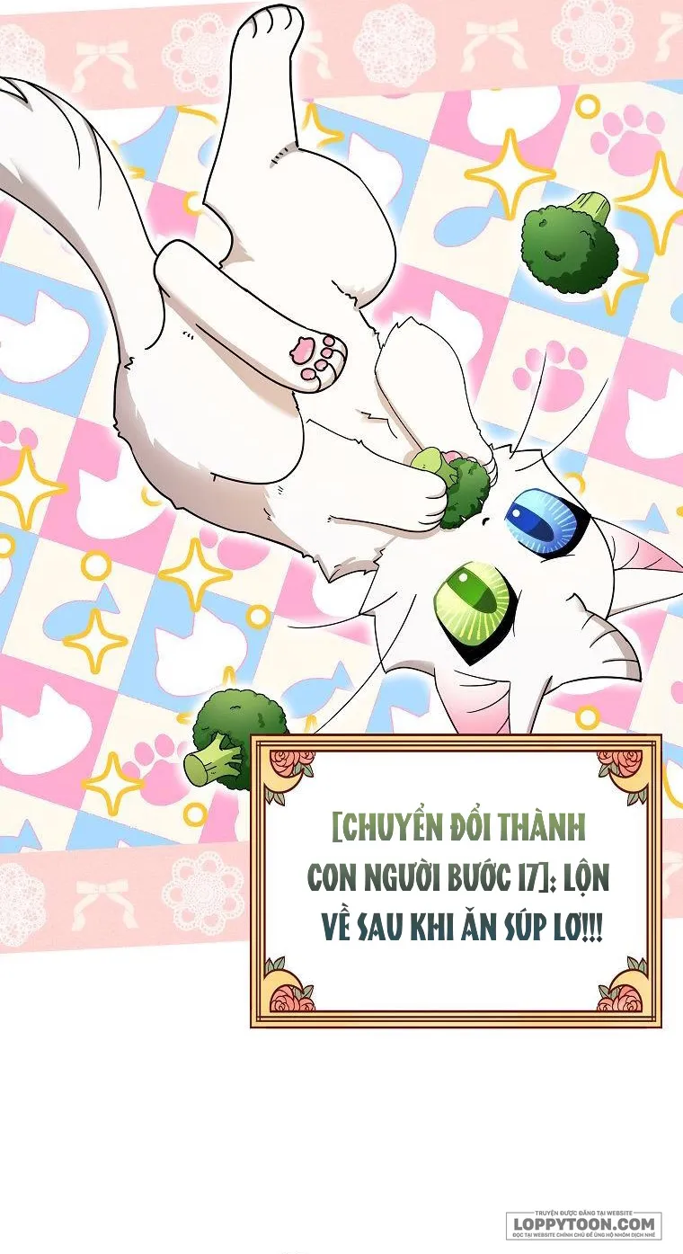 Trở Thành Miêu Nữ Của Hoàng Đế Chap 2 - trang 47