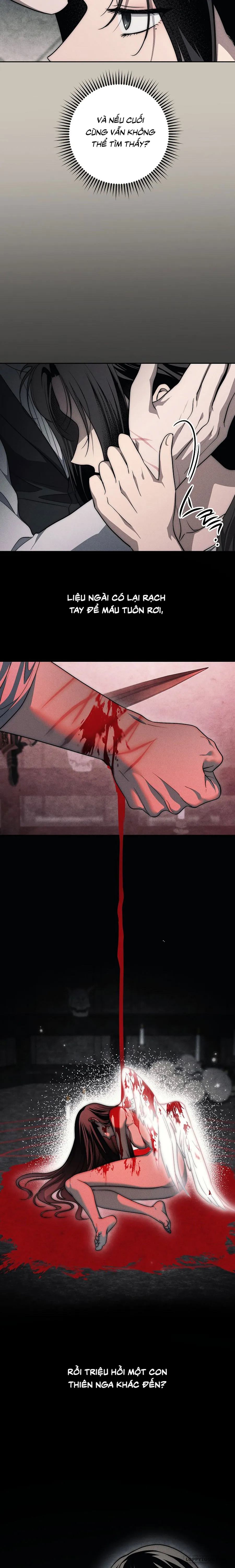 Mộ Thiên Nga Chap 45 - trang 22