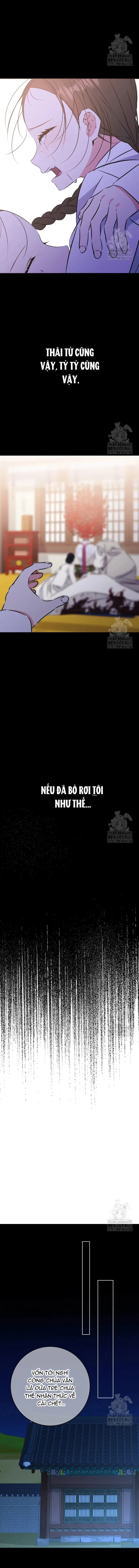 Tôi Sinh Ra Là Con Gái Của Một Cung Phi Hèn Mọn Chap 33 - trang 11