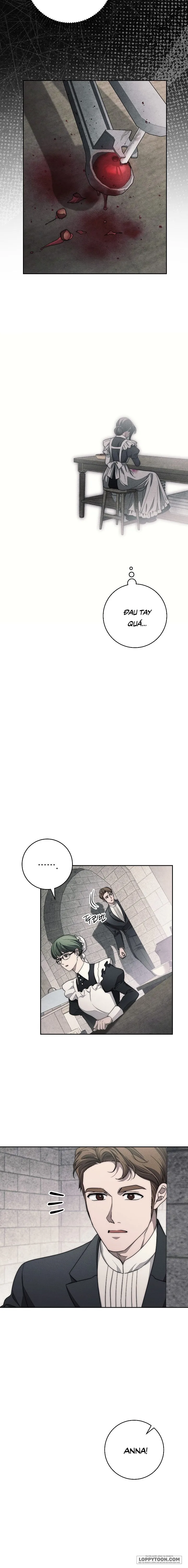 Mộ Thiên Nga Chap 28 - trang 11