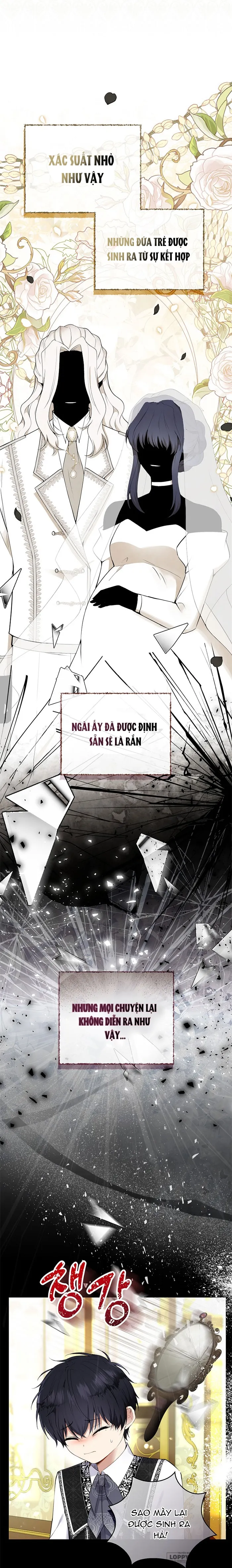 Sóc Con Tài Năng Chap 31 - trang 6