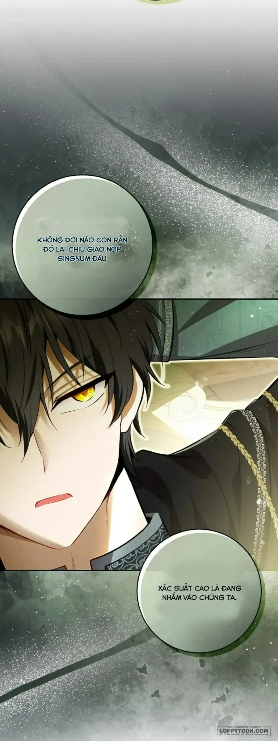 Sóc Con Tài Năng Chap 92 - trang 31