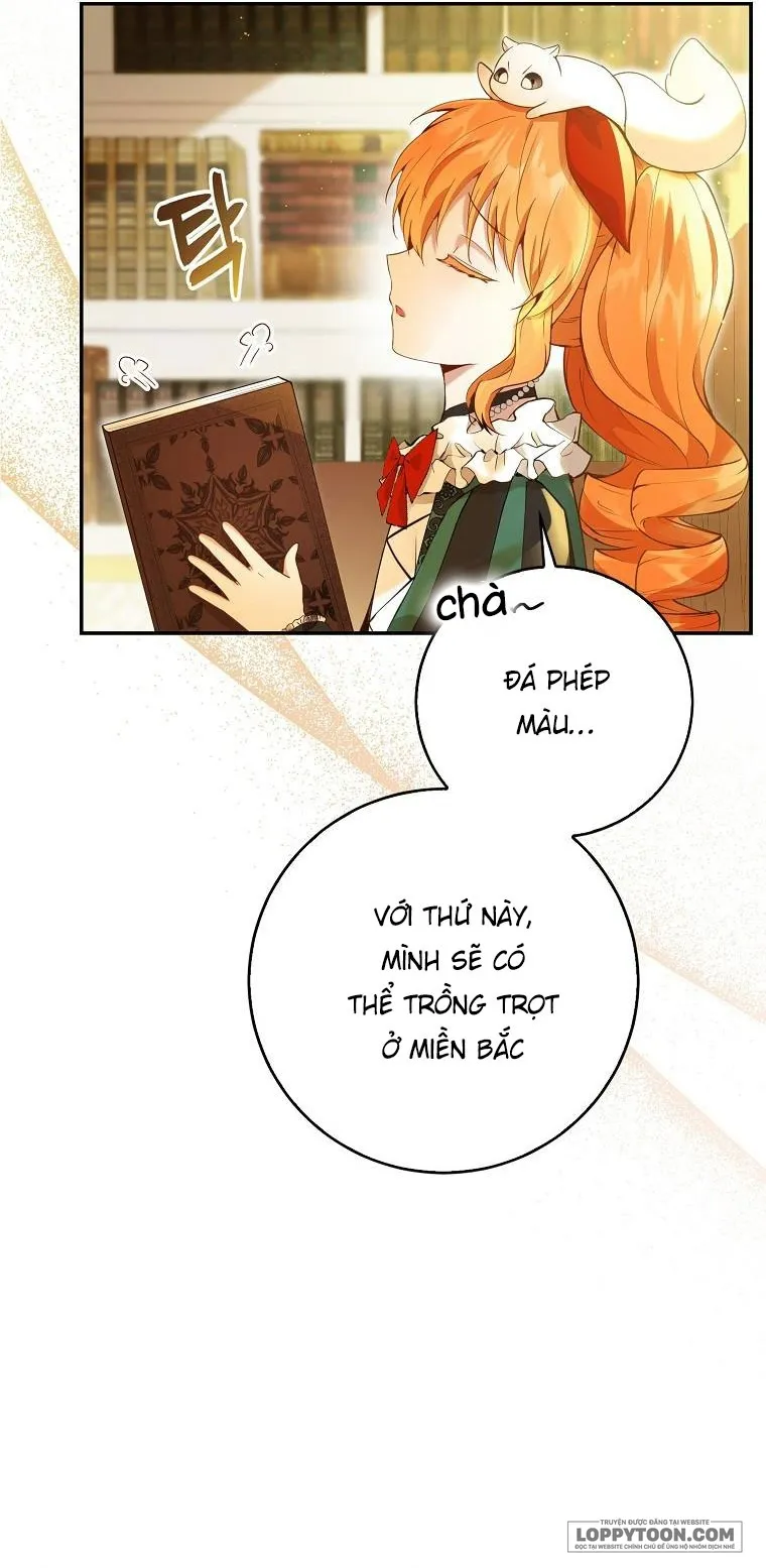 Sóc Con Tài Năng Chap 45 - trang 5
