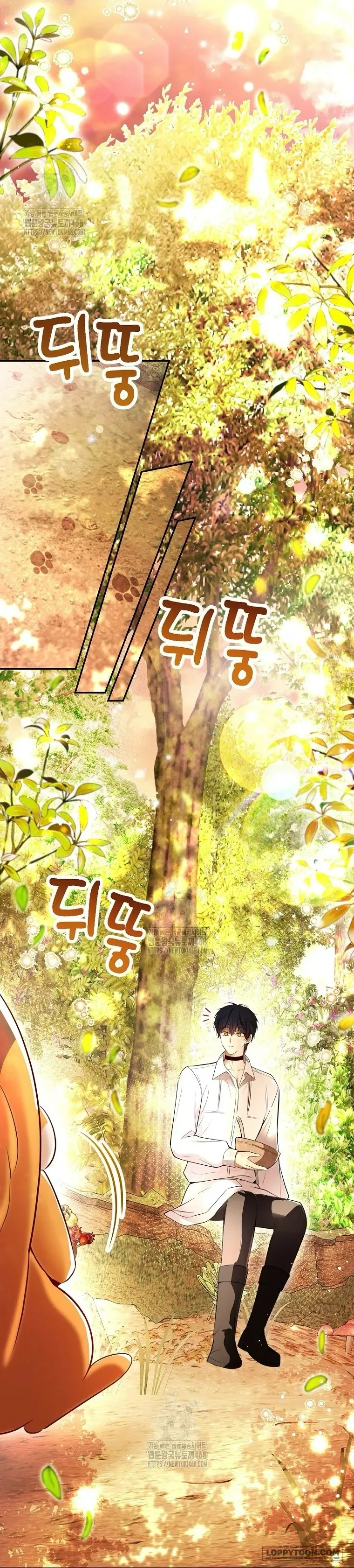 Sóc Con Tài Năng Chap 113 - trang 11