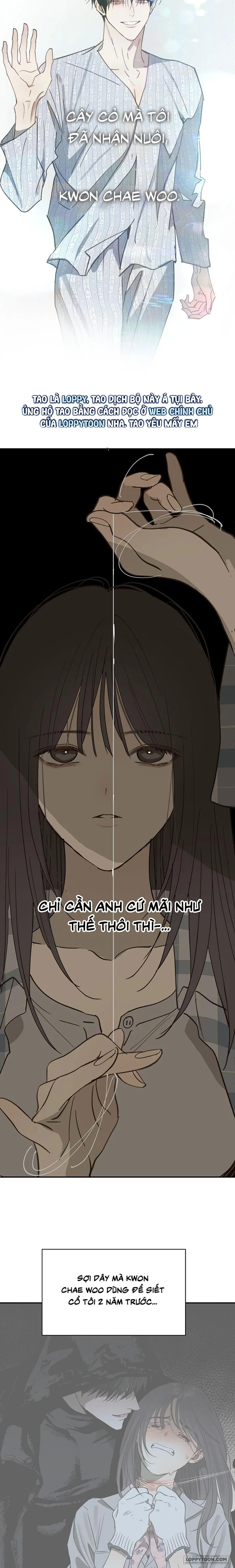 Đóa Hoa Là Mồi Nhử Chap 51 - 🔞🔞🔞 - trang 22