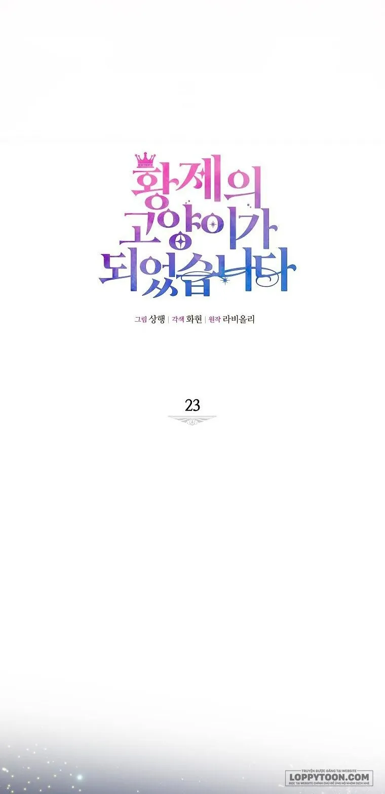 Trở Thành Miêu Nữ Của Hoàng Đế Chap 23 - trang 15
