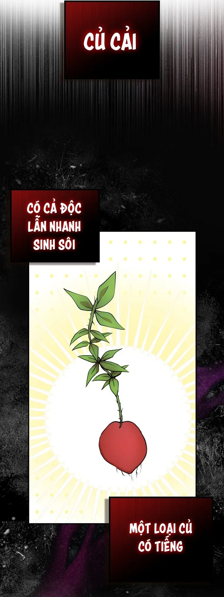 Sóc Con Tài Năng Chap 8 - trang 39