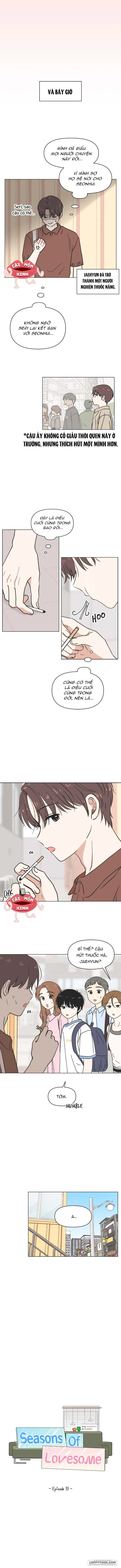 Thanh Xuân Ngọt Ngào Chap 33 - trang 2