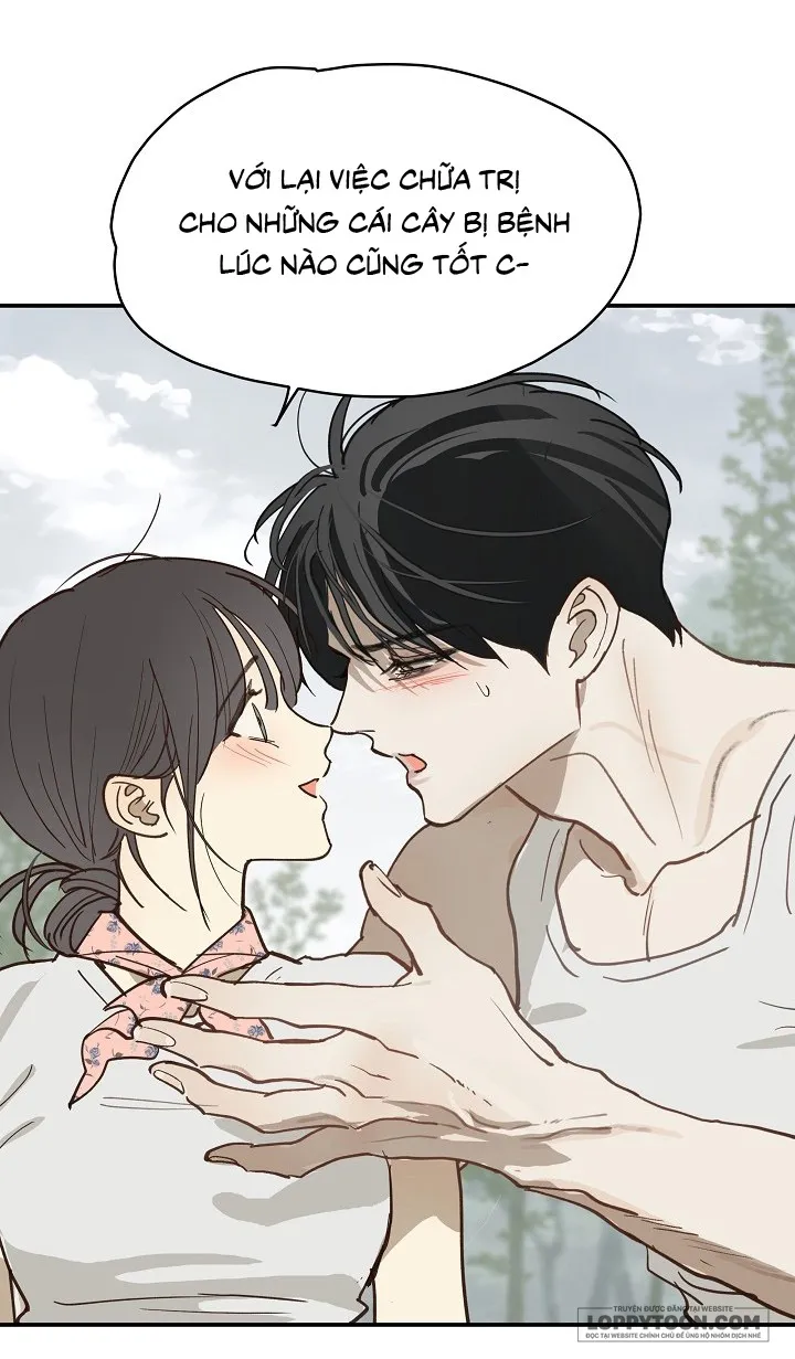 Đóa Hoa Là Mồi Nhử Chap 55 - trang 46