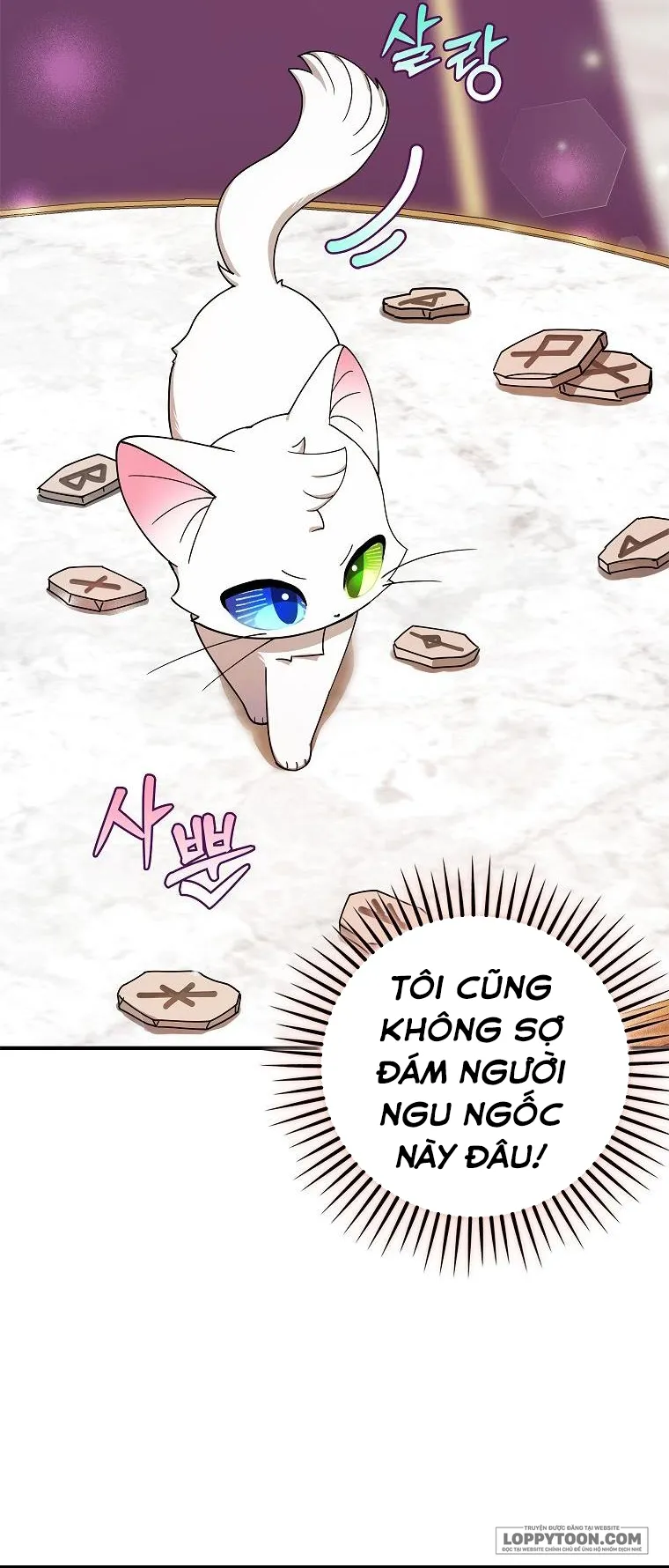 Trở Thành Miêu Nữ Của Hoàng Đế Chap 1 - trang 26