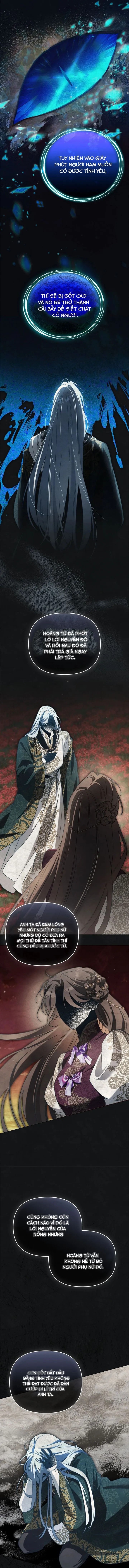 Dành Cho Nàng Juliet Xinh Đẹp Chap 26 - trang 12
