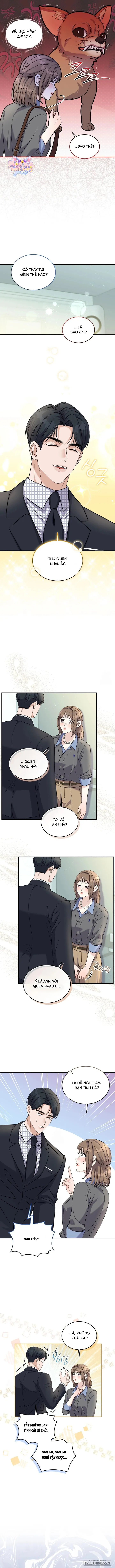 Sự Vắng Mặt của Tình Yêu Lãng Mạn Chap 13 - trang 8