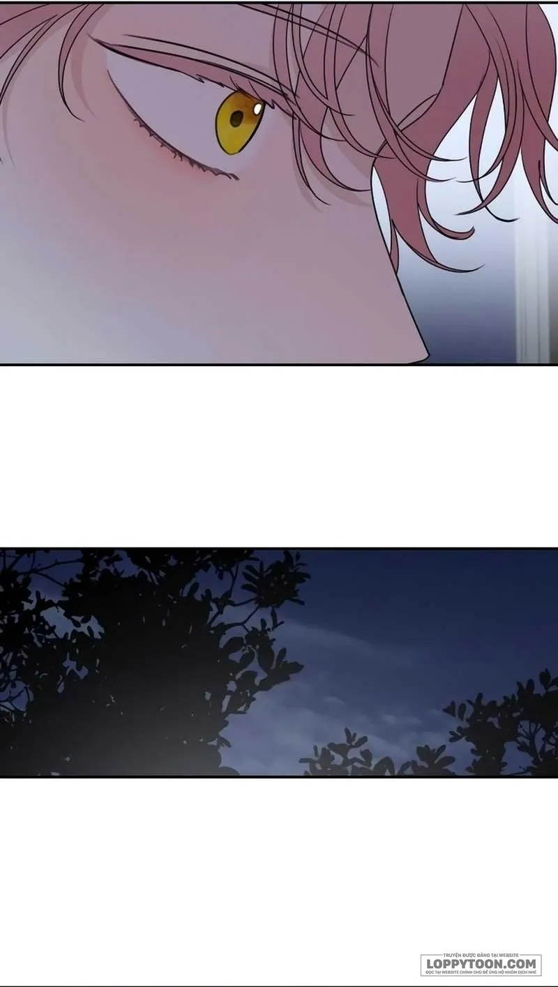 Gia Đình Chồng Quá Ám Ảnh Bởi Tôi Chap 104 - trang 37