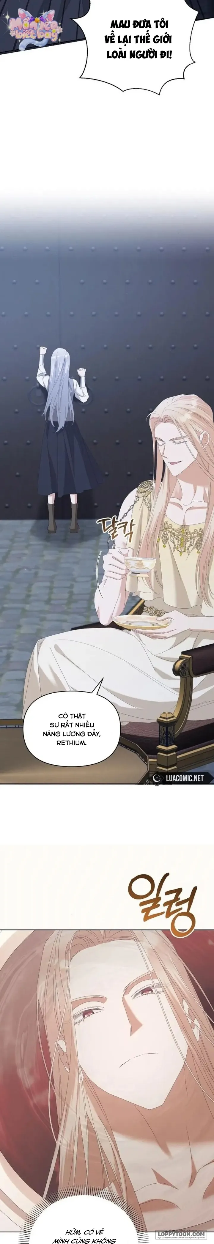 Trở Thành Con Gái Nuôi Của Gia Tộc Sát Thủ Chap 74 - trang 2