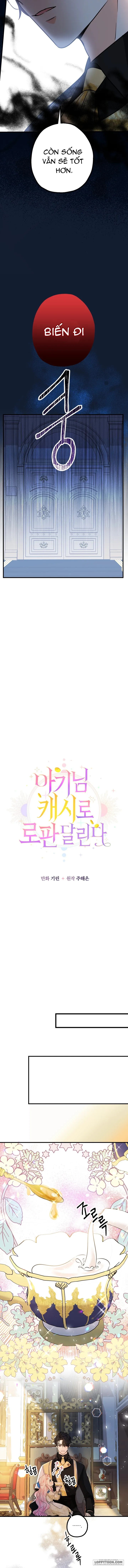 Tiểu Thư Tích Tiền Đi Bụi Chap 14 - trang 12