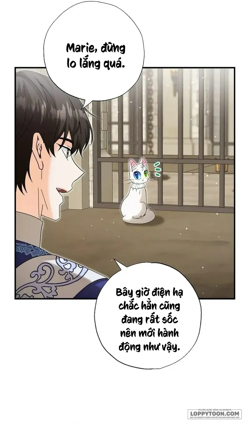 Trở Thành Miêu Nữ Của Hoàng Đế Chap 36 - trang 7