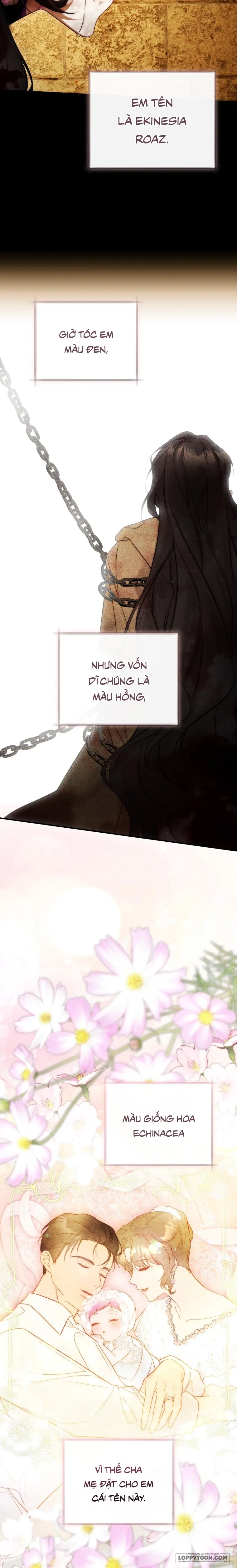 Đóa Hoa Cầm Kiếm Chap 34 - trang 15