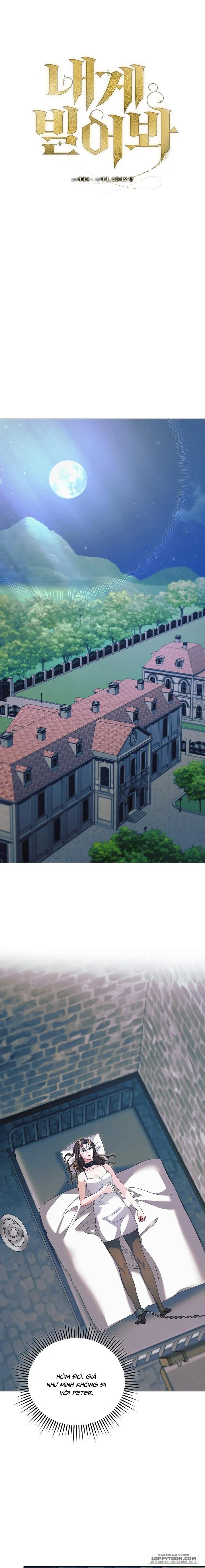 Hãy Cầu Xin Tôi Đi Chap 52 - trang 6