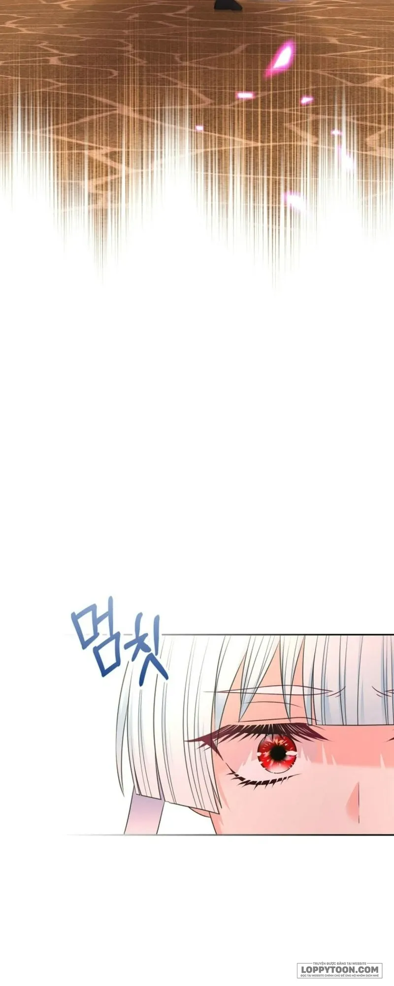 Tôi Sẽ Ly Hôn Với Anh Trai Nữ Chính Chap 94 - trang 48