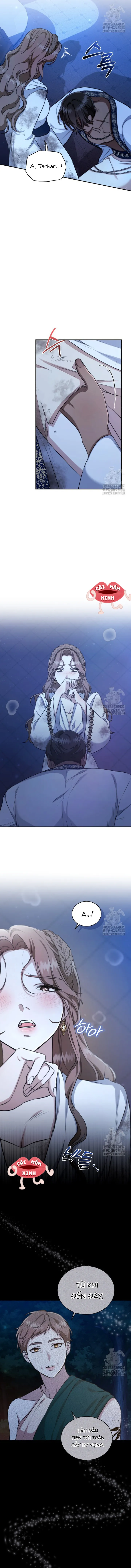 Khu Rừng Hoang Dã Chap 22 - trang 2