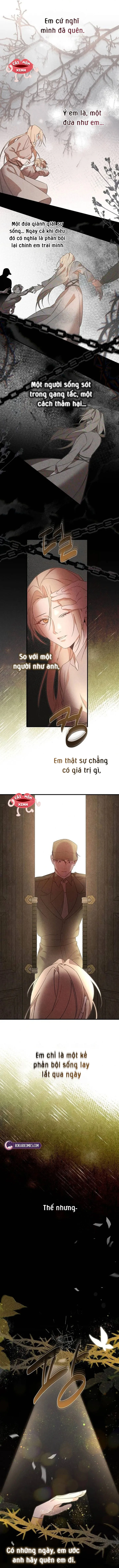 Nơi Đóa Hồng Vàng Úa Tàn Chap 25 - trang 12