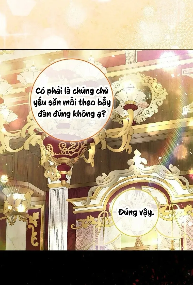 Sóc Con Tài Năng Chap 115 - trang 27