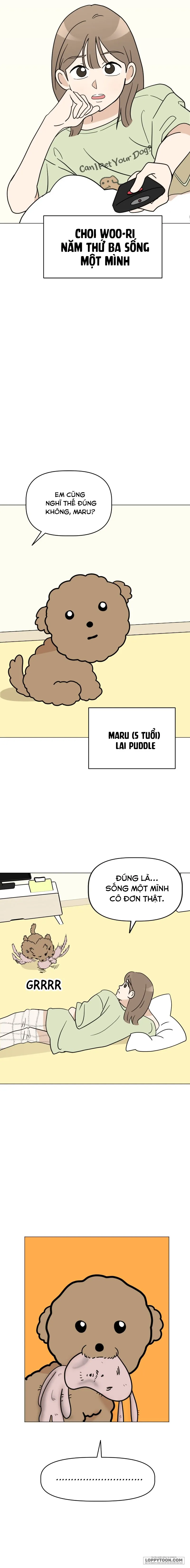 Maru là cún cưng của tôi Chap 1 - trang 4