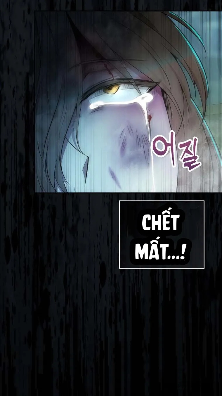 Sóc Con Tài Năng Chap 65 - trang 46