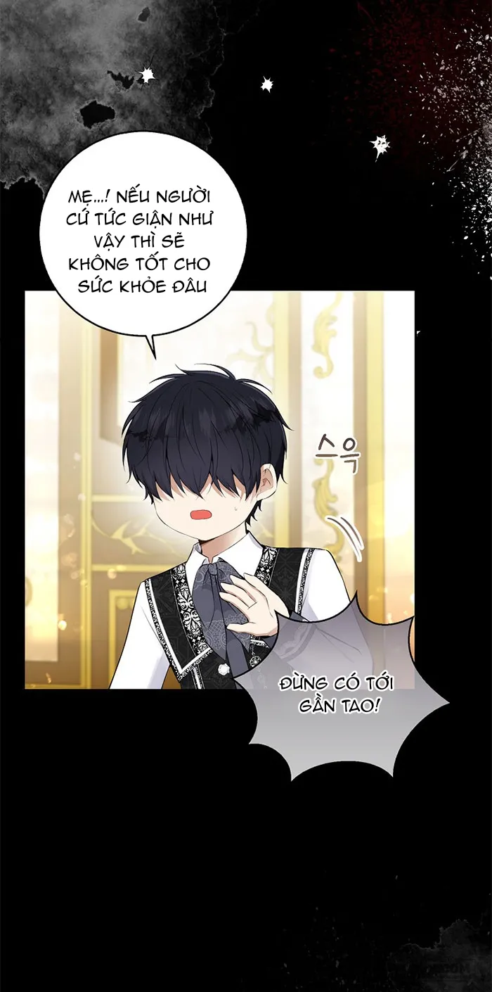 Sóc Con Tài Năng Chap 31 - trang 8