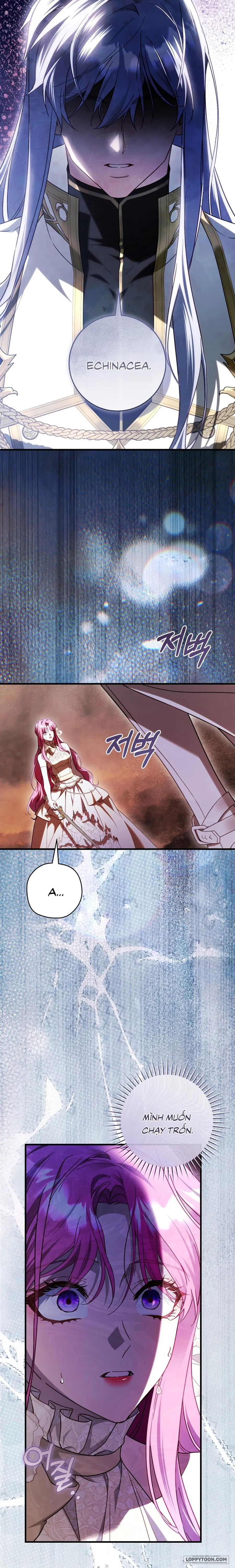 Đóa Hoa Cầm Kiếm Chap 49 - trang 13