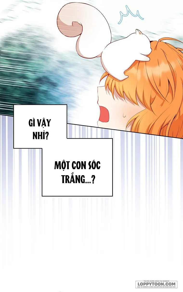 Sóc Con Tài Năng Chap 12 - trang 64