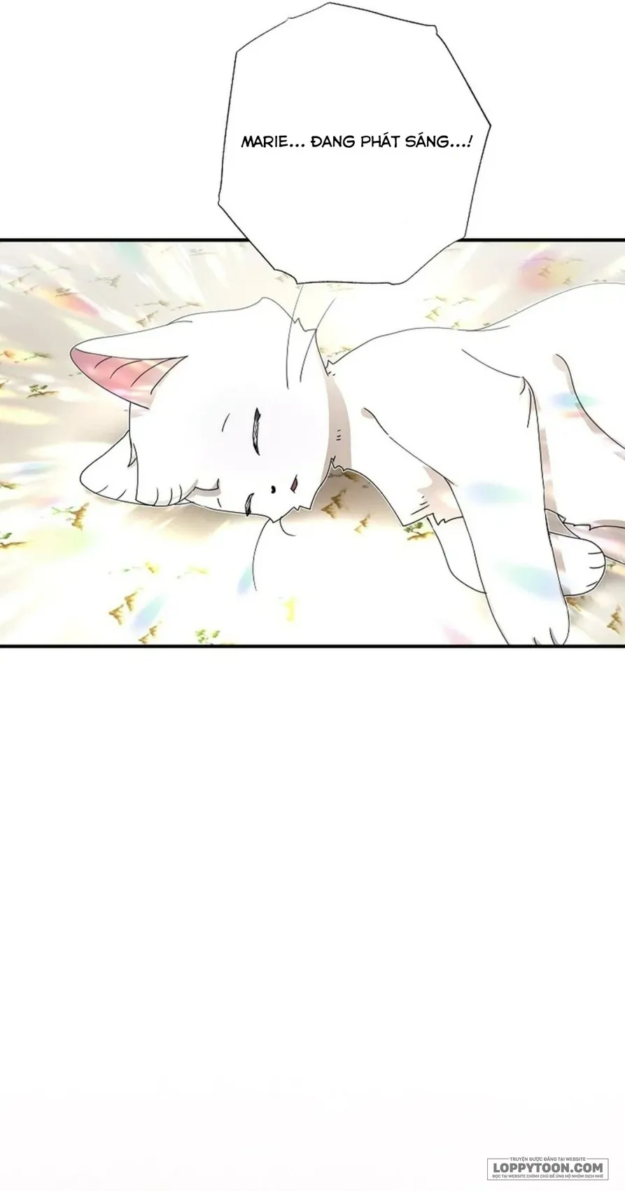 Trở Thành Miêu Nữ Của Hoàng Đế Chap 54 - trang 60