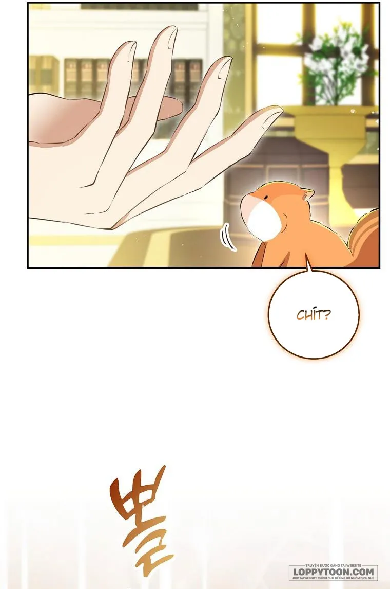Sóc Con Tài Năng Chap 43 - trang 30