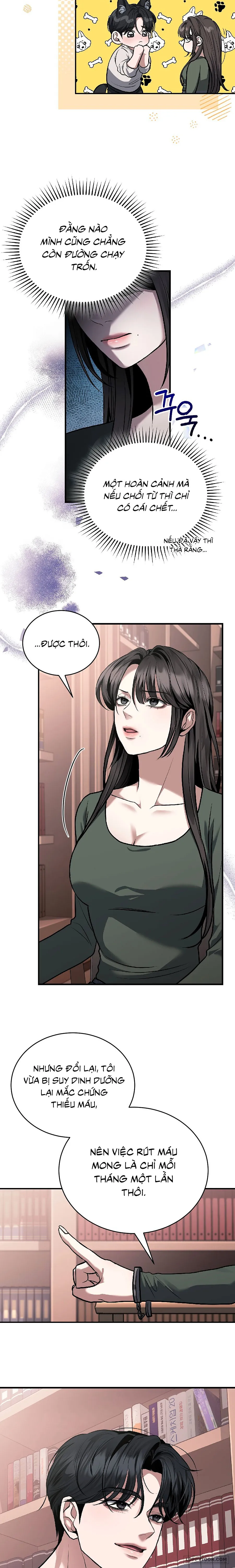 Chó Hoang Mơ Giấc Mơ Săn Mồi Chap 5 - trang 10