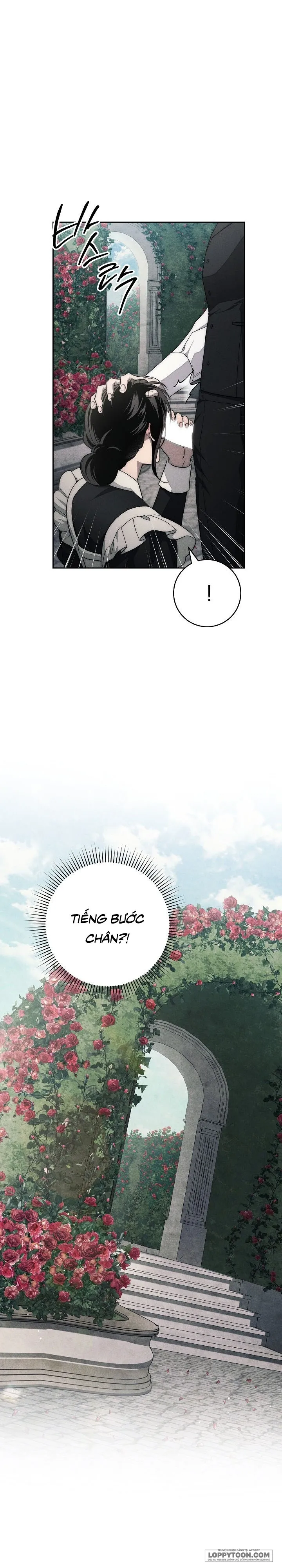 Mộ Thiên Nga Chap 17 - 🔞🔞🔞 - trang 4