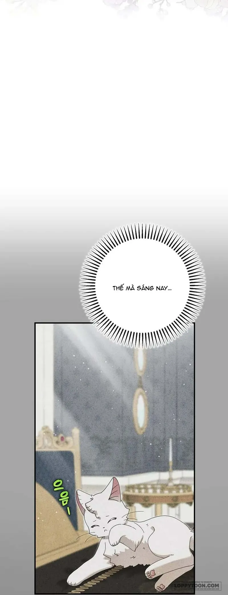 Trở Thành Miêu Nữ Của Hoàng Đế Chap 52 - trang 6