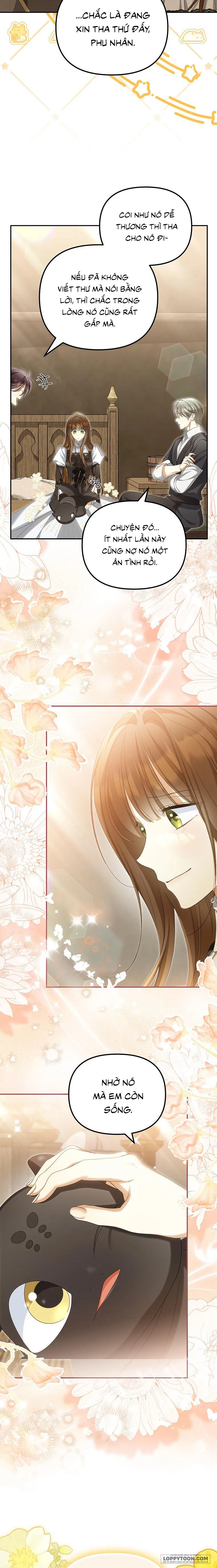 Sao Lại Ám Ảnh Cô Vợ Giả Mạo Quá Vậy? Chap 72 - trang 16