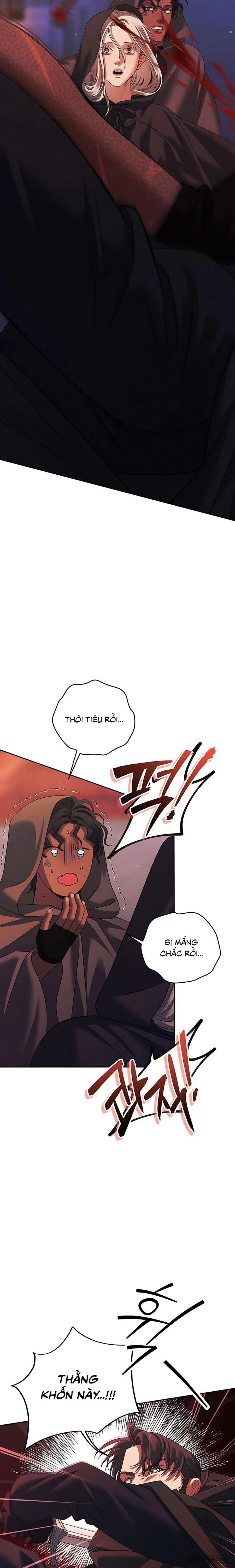 Cuộc Hôn Nhân Bị Cướp Đoạt Chap 16 - trang 14