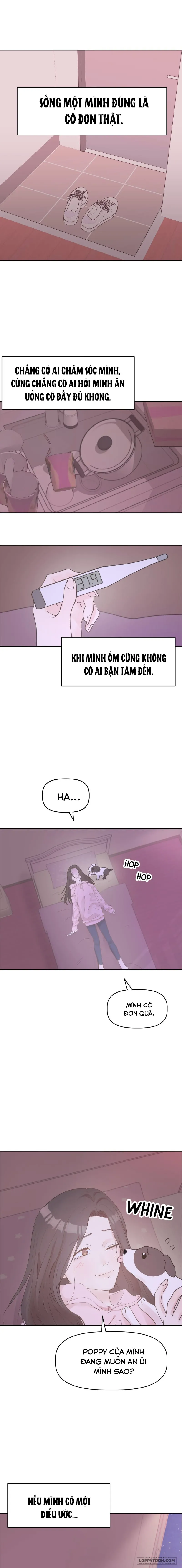 Maru là cún cưng của tôi Chap 1 - trang 1