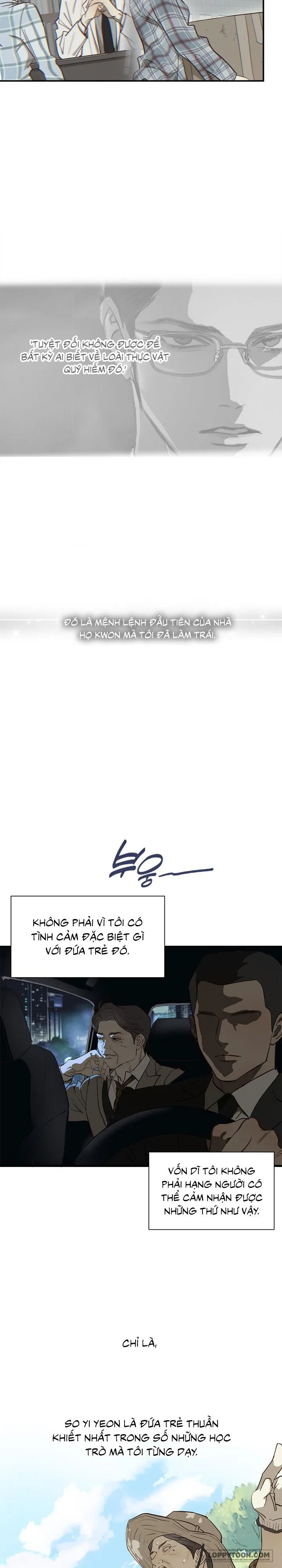 Đóa Hoa Là Mồi Nhử Chap 38 - trang 21