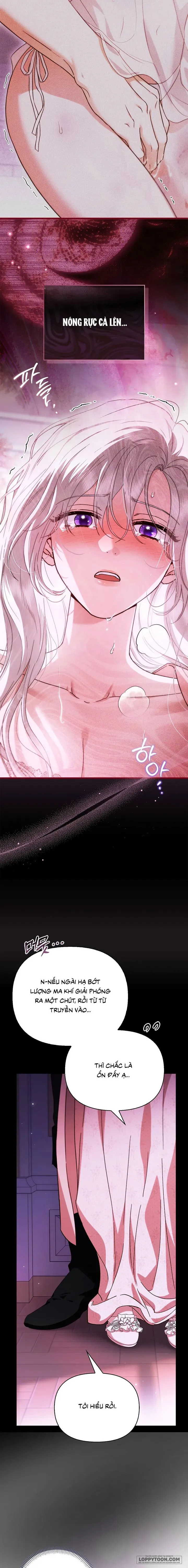 Nhưng Rõ Ràng Chồng Tôi Là Thánh Kỵ Sĩ Mà? Chap 24 - trang 3