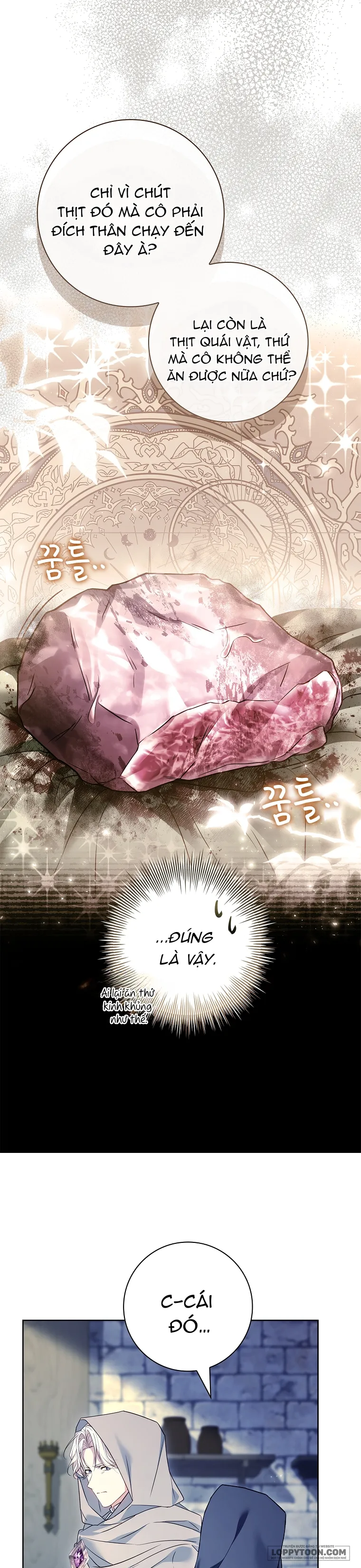 Chồng Ơi, Tại Sao Chúng Ta Không Thể Ly Hôn? Chap 88 - trang 13