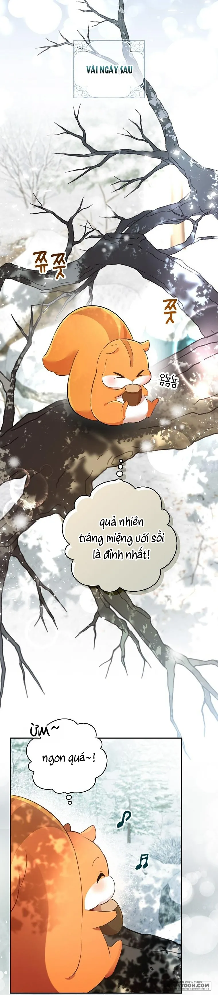 Sóc Con Tài Năng Chap 48 - trang 35