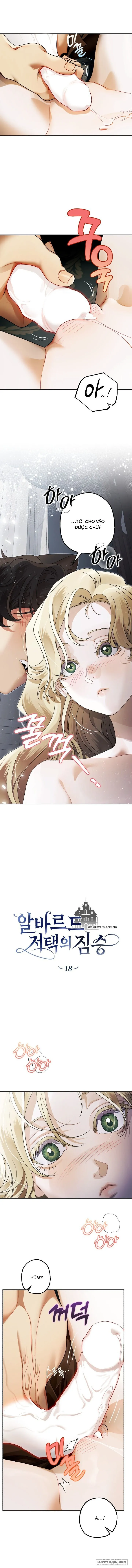 Quái Thú Ở Dinh Thự Albard Chap 18 - 🔞🔞🔞🔞 - trang 1