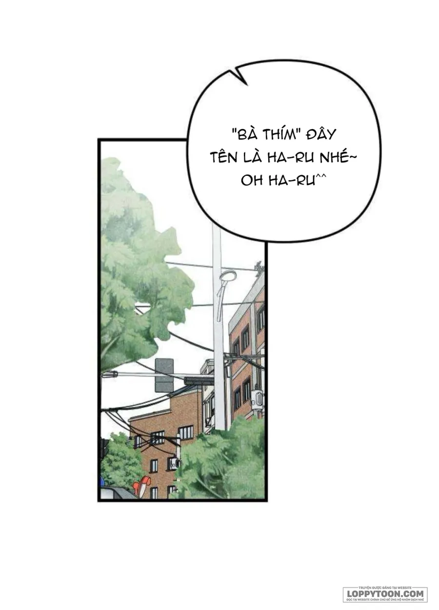 Câu Lạc Bộ Chị Đẹp Chap 9 - POV. Chạm mặt người yêu cũ ở đám cưới bạn thân - trang 34