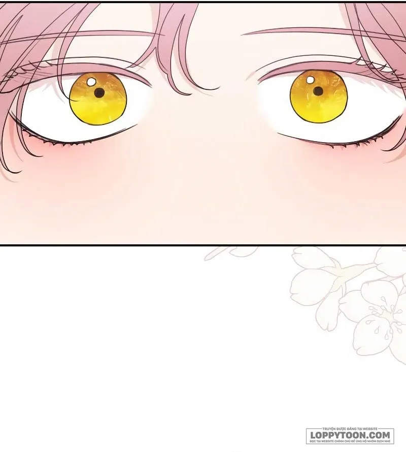 Gia Đình Chồng Quá Ám Ảnh Bởi Tôi Chap 103 - trang 15